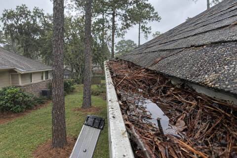 Aluminum gutter filled to the brim with brown pine needles beside a roof edge