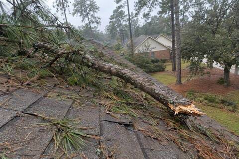 Broken pine limb lying across a shingle roof slope with needles scattered around it